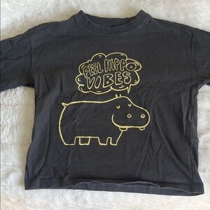 Zara 2T Feel Hippo Vibes Kids Long Sleeve